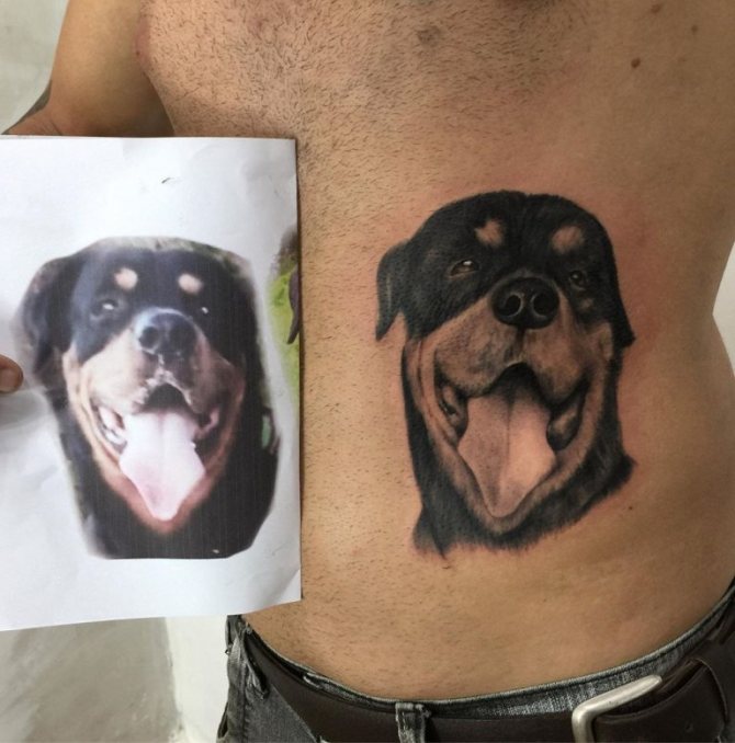 egy kutya tetoválása