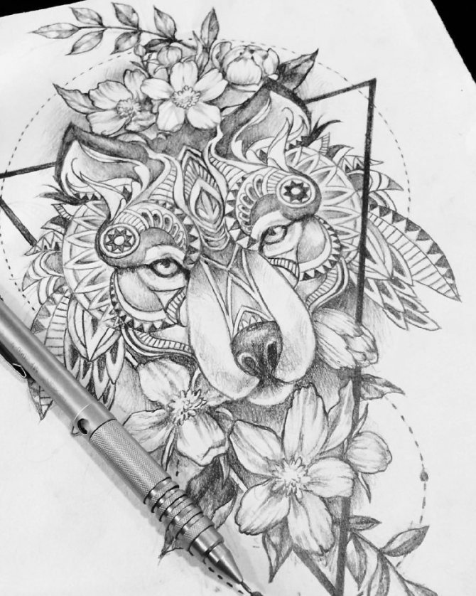 Esquisse d'un loup sur les côtes