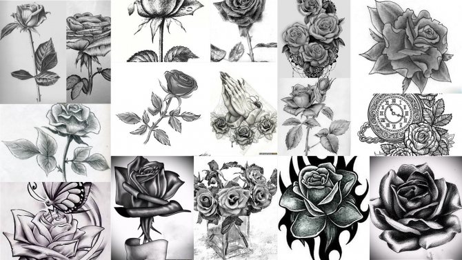 Bocetos de tatuajes de rosas negras