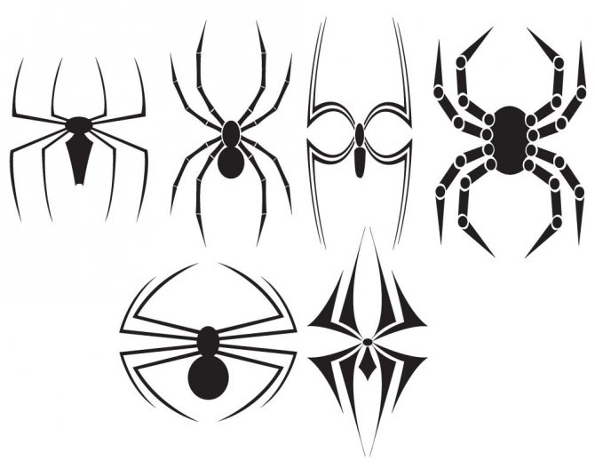 Bocetos para el tatuaje de la araña