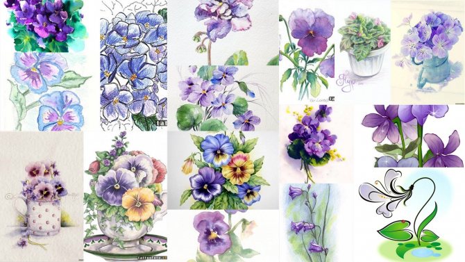 Sketches of violet tattoo