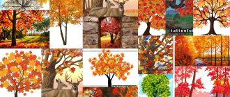 Maple tätoveeringu kujundused