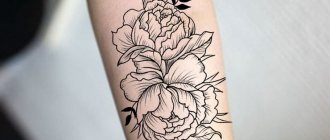 Esbozos de tatuaje de contorno