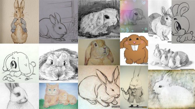 σκίτσα τατουάζ λαγού