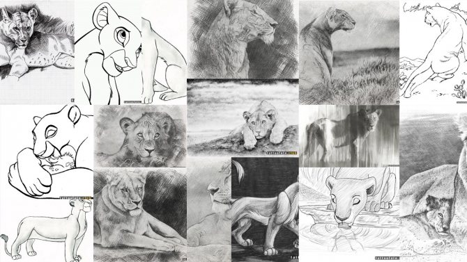 leijona tatuointi malleja