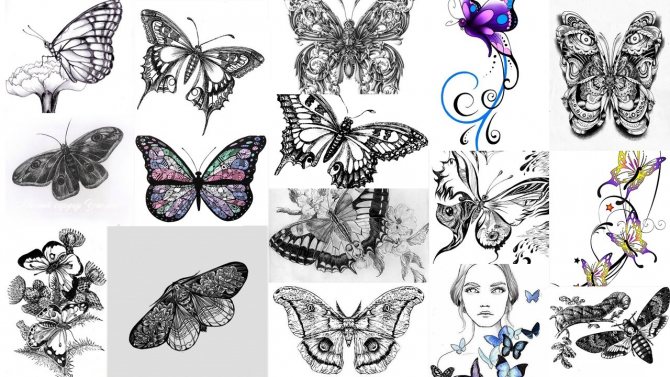 σκίτσα σκώρος τατουάζ