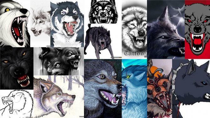 Náčrtky tetování šklebícího se vlka