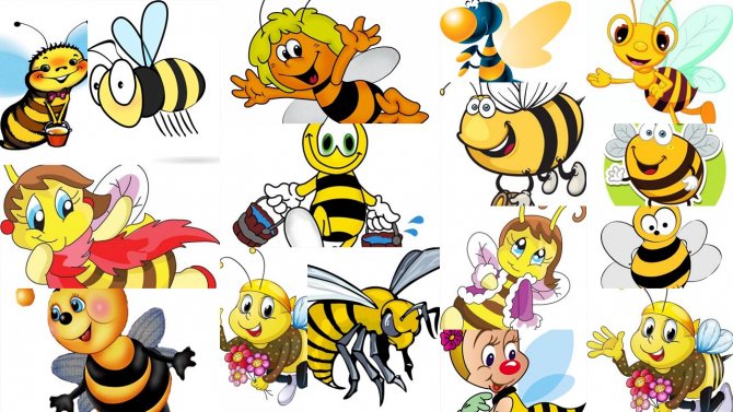 náčrtky včelího tetování