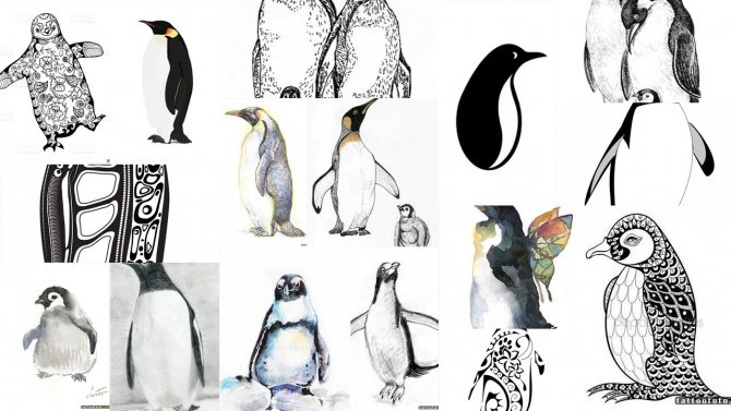 diseños de tatuajes de pingüinos
