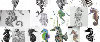 airplane tattoo sketches