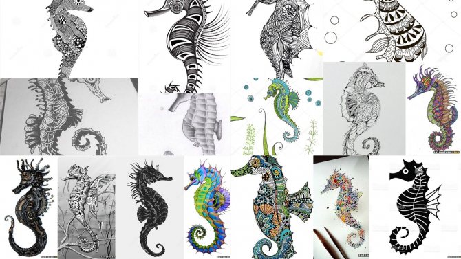 airplane tattoo sketches