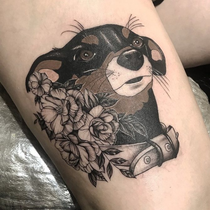 дизайни за татуировки на кучета