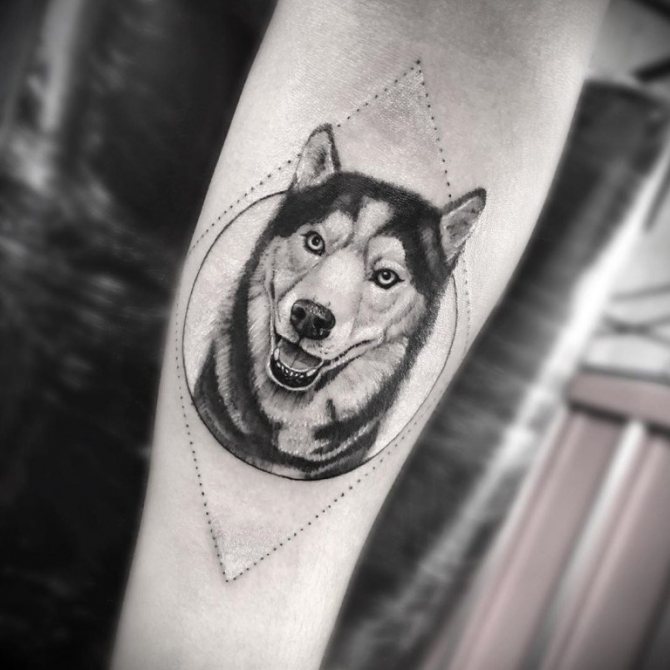 скици на кучета