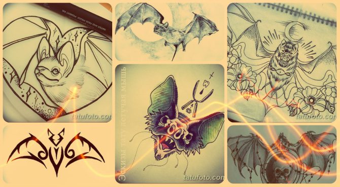 Croquis de tatouage de chauve-souris - motifs de tatouage intéressants