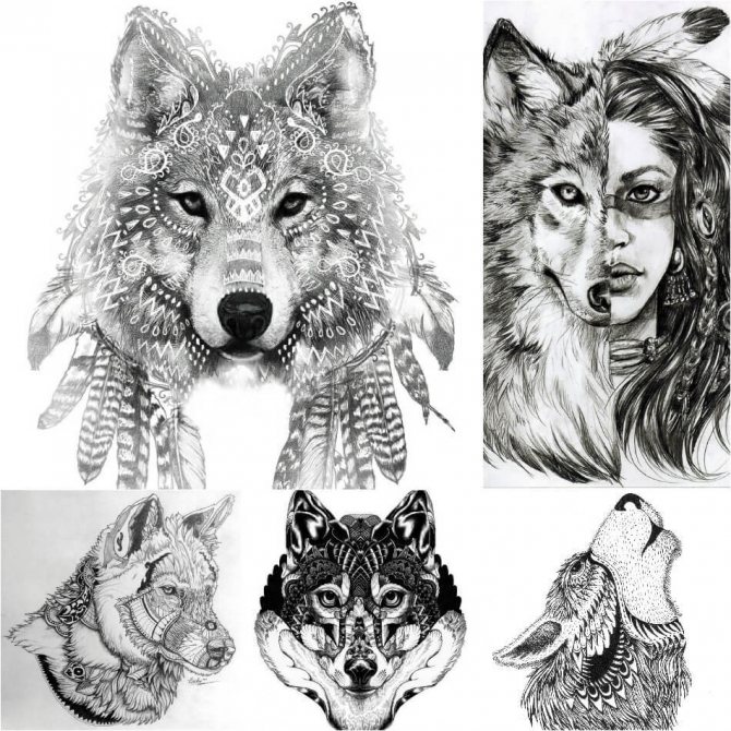 Croquis de tatouages de loups et de louvettes