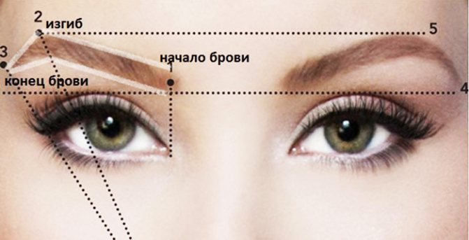 Les étapes de la guérison du maquillage permanent des sourcils au jour le jour. Photo, soins