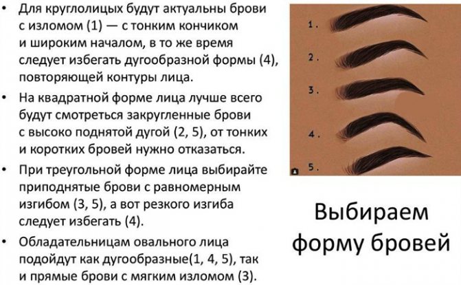 Phase de guérison du maquillage permanent des sourcils, jour après jour. Photo, soins