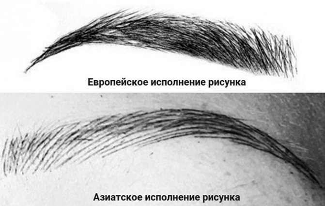 Les étapes de la guérison du maquillage permanent des sourcils au jour le jour. Photo, soins