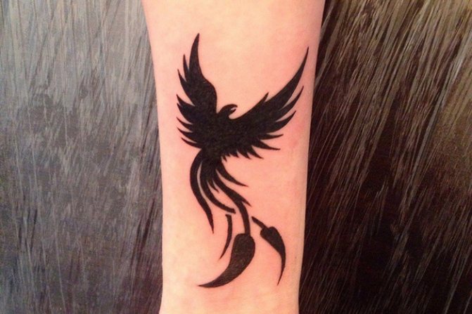 oiseaux fantastiques