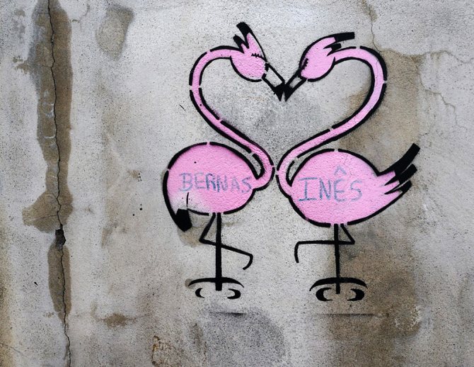 flamant rose symbolise