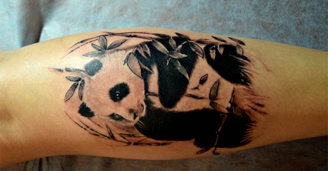 Φωτογραφία 11