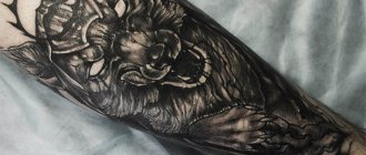 Φωτογραφία 1