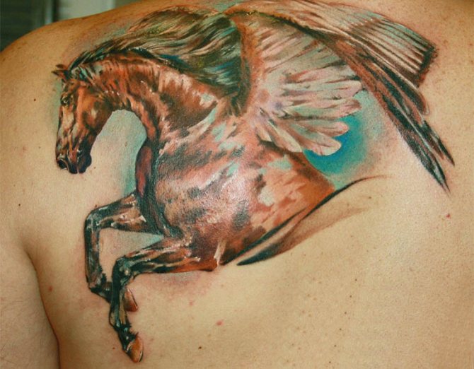 Φωτογραφία 12