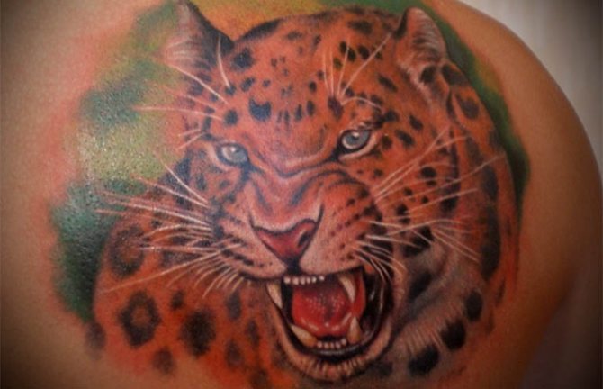 Φωτογραφία 13