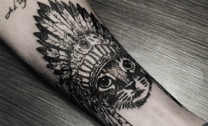 Φωτογραφία 14