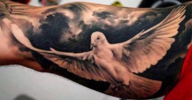 Φωτογραφία 16