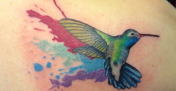 Φωτογραφία 23