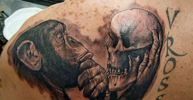 Φωτογραφία 29