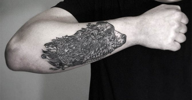 Φωτογραφία 37