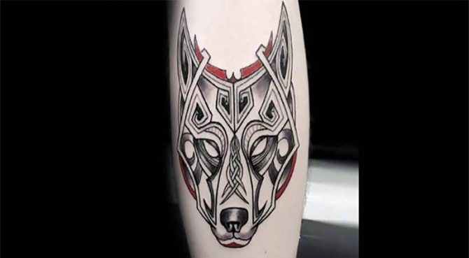 Φωτογραφία 38