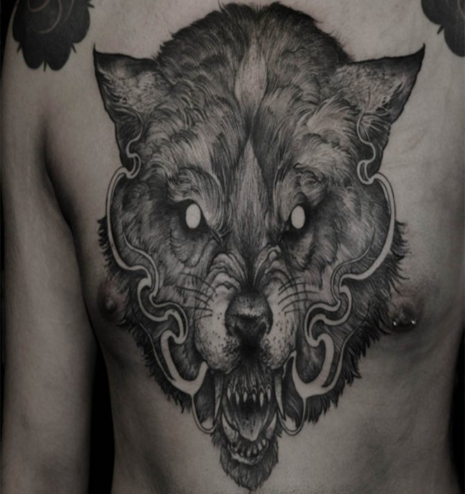 Φωτογραφία 41