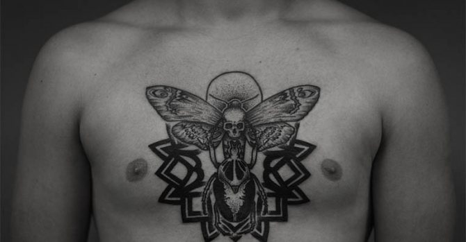 Φωτογραφία 4