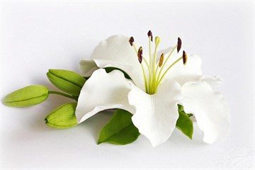 Φωτογραφία 4