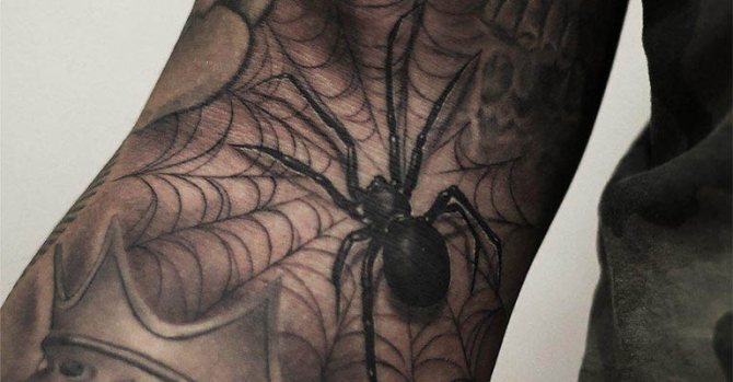 Φωτογραφία 5