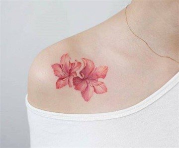 Φωτογραφία 5