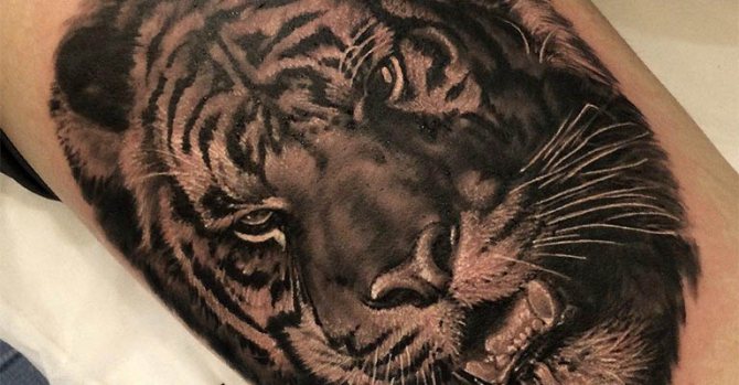 Φωτογραφία 58