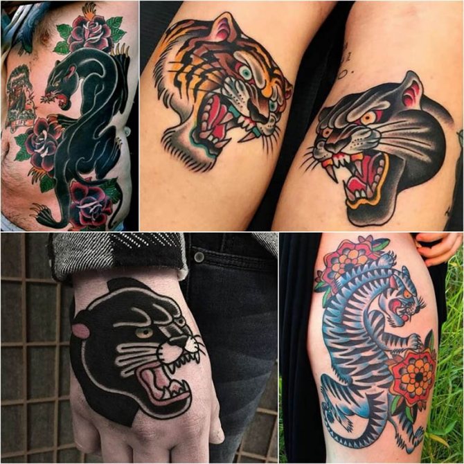 Φωτογραφία 69