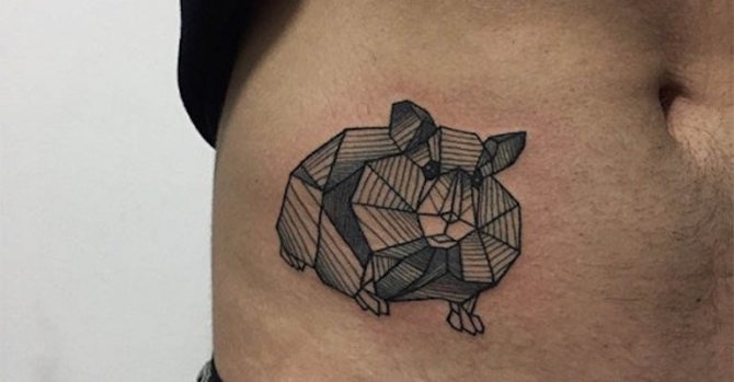 Φωτογραφία 71