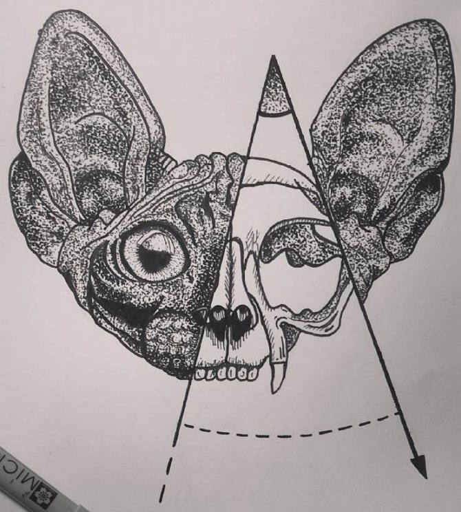 Φωτογραφία 75