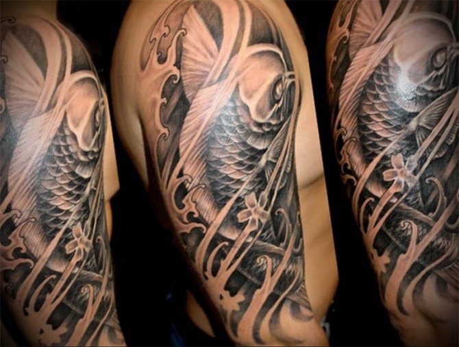 Φωτογραφία 8