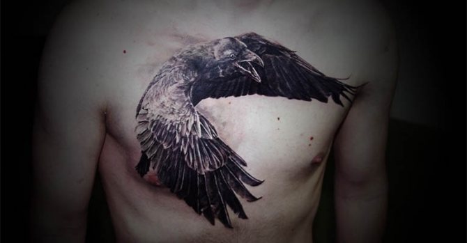 Φωτογραφία 88