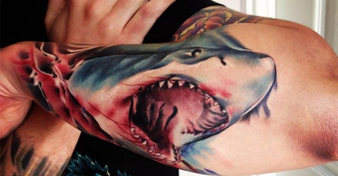 Φωτογραφία 90