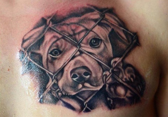 Φωτογραφία 94