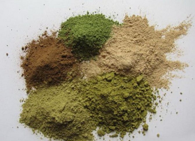 写真提供:fashionclassic.ru