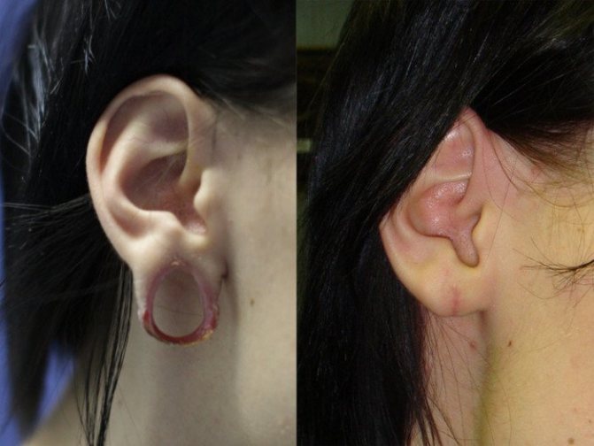 Photo from: pikabu.ru