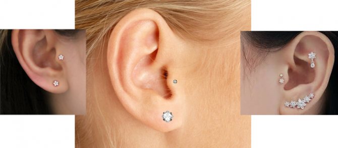 Image du tragus